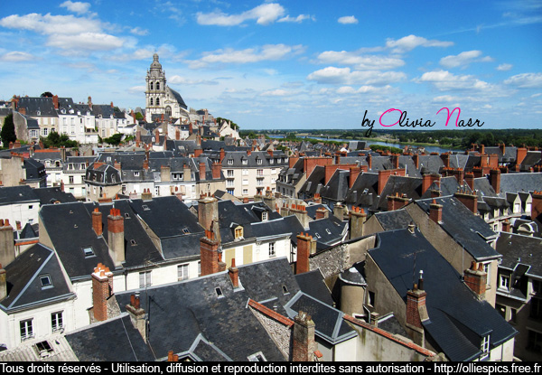 014.jpg - Vue des toits, Blois